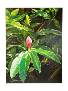Original Art by Suzanne Wilkins “Jungle Bloom"