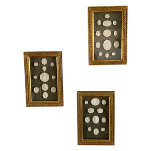Antique Framed Plaster Medallions (Set of 3)