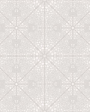 Load image into Gallery viewer, SHAGREEN - GRAY
